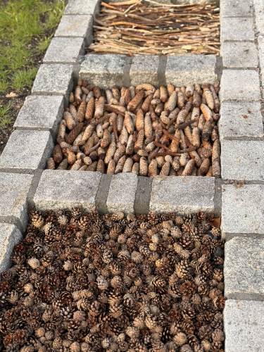 Sanseløypa fylles med naturmaterialer.